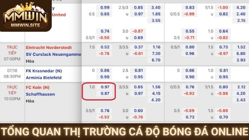 Tổng quan thị trường cá độ bóng đá online