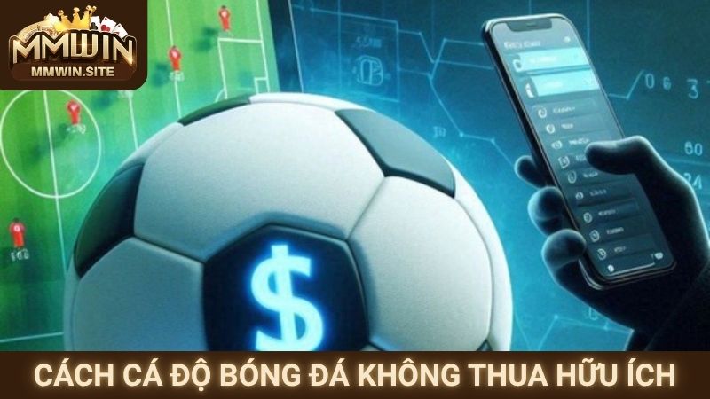 Cách cá độ bóng đá không thua hữu ích