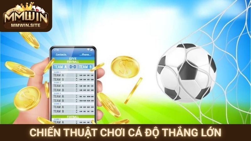 Chiến thuật chơi cá độ thắng lớn