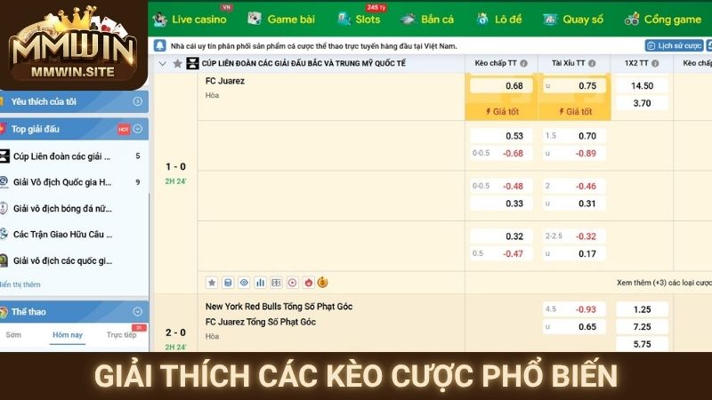 Giải thích các kèo cược phổ biến